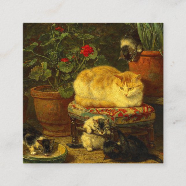 Cartão De Informações Gatinhos ao Brincar (Frente)