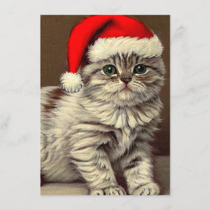 Cartão De Informações Gato de Natal Antigo Usando Chapéu de Papai Noel