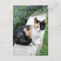 Gato Fantasma da Ópera