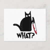 Gato Que_ Engraçado Gato Preto