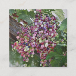 Cartão De Informações Glória das Vinhas - Arte do Vineyard hiperrealista