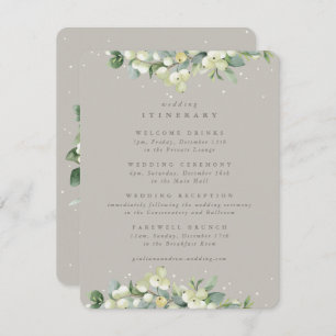 Cartão De Informações Greige Snowberry+Eucalyptus Wedding Itinerário