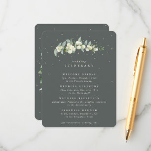 Cartão De Informações Itinerário de Casamento de Pedra Verde Snowberry+E