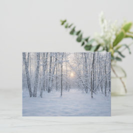 Cartão De Informações Luz Solar de Inverno em Floresta de Bétulas Silenc