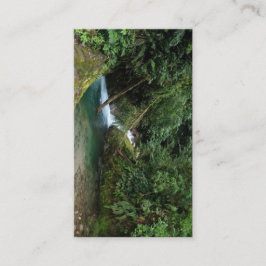 Cartão De Informações Natural design 