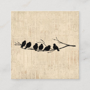 Cartão De Informações Pássaros na ramificação das árvores, arte de aves 