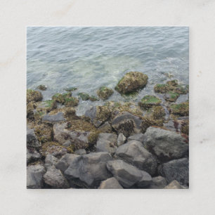 Cartão De Informações rochas da costa