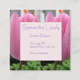 Cartão De Informações Tulipas Rosa Tulipas Ruas Quadradas do Jardim