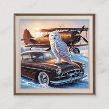 Uma uva de neve, um avião e um carro vintage