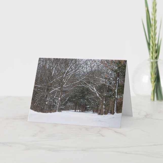 Cartão de Inverno Pintado com Estrada Coberta de N (Frente)