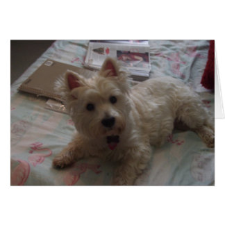 cartão de jack fofo!