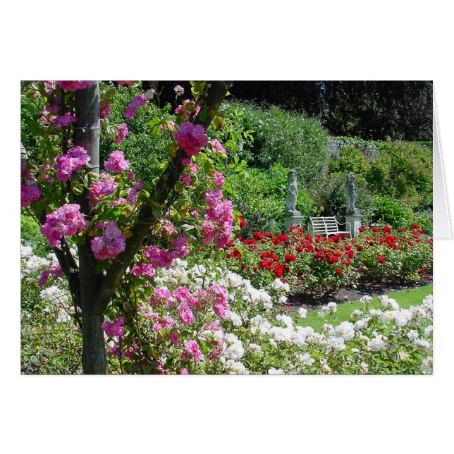 cartão de jardim rosa (Frente Horizontal)