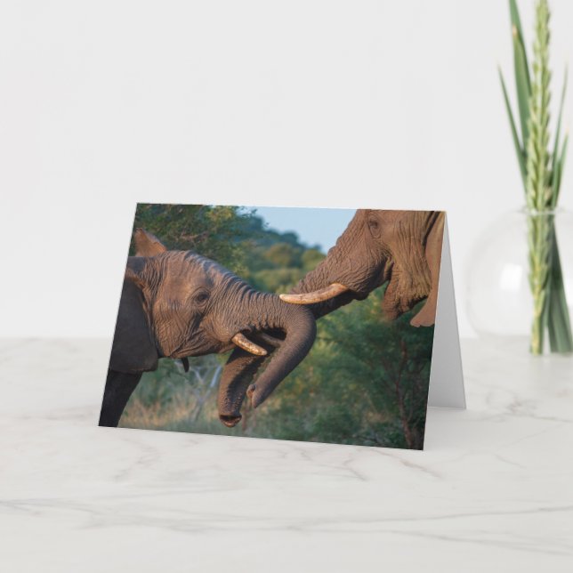 Cartão de jogo dos elefantes (Frente)