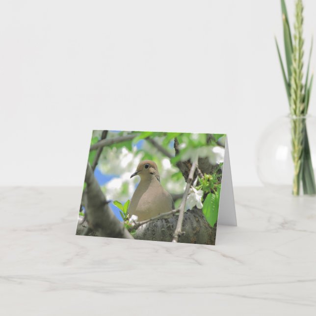 Cartão de lamentação #81 da pomba do cumprimento (Frente)