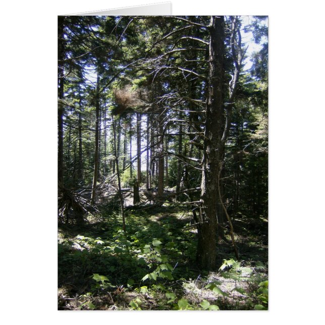 Cartão de Leite Monhegan (Frente)