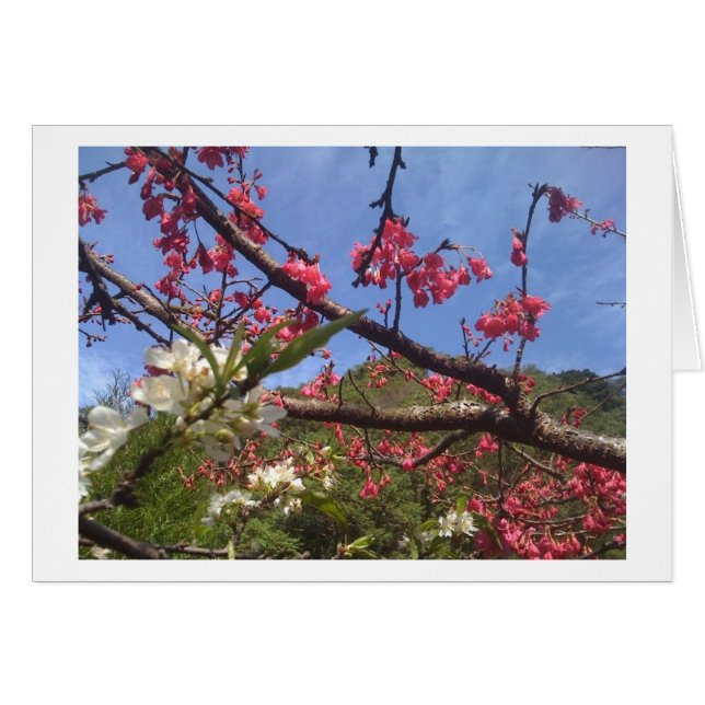 Cartão de losso (Frente horizontal)