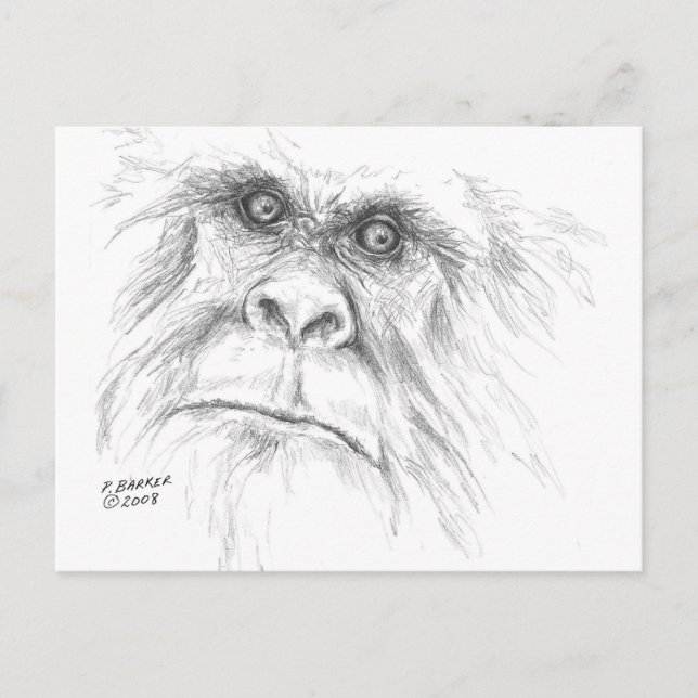 Cartão de LTB (Frente)