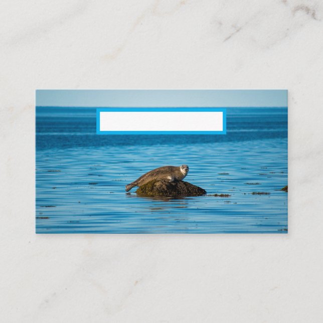 Cartão De Lugar Foca-do-Atlântico (Frente)