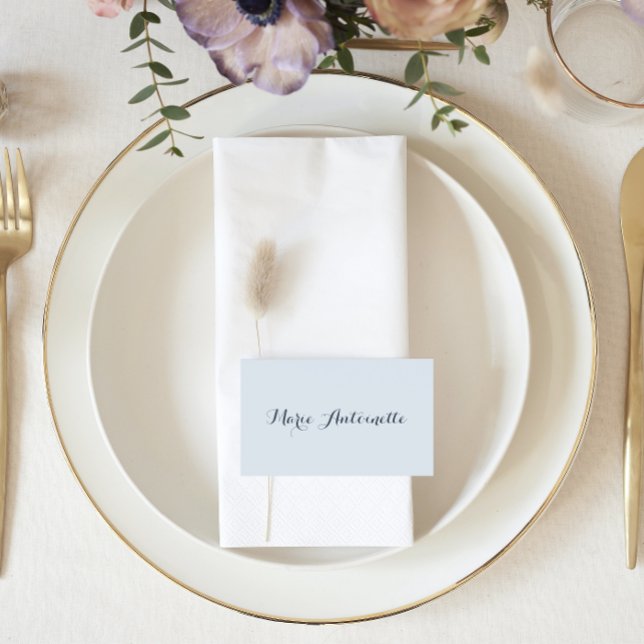 Cartão De Lugar Marie Antoinette Wedding Rococo Dusty Blue (Criador carregado)