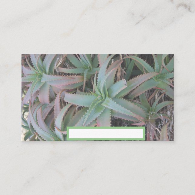 Cartão De Lugar Nevada suculenta (Frente)