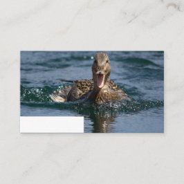 Cartão De Lugar Pato com bico aberto