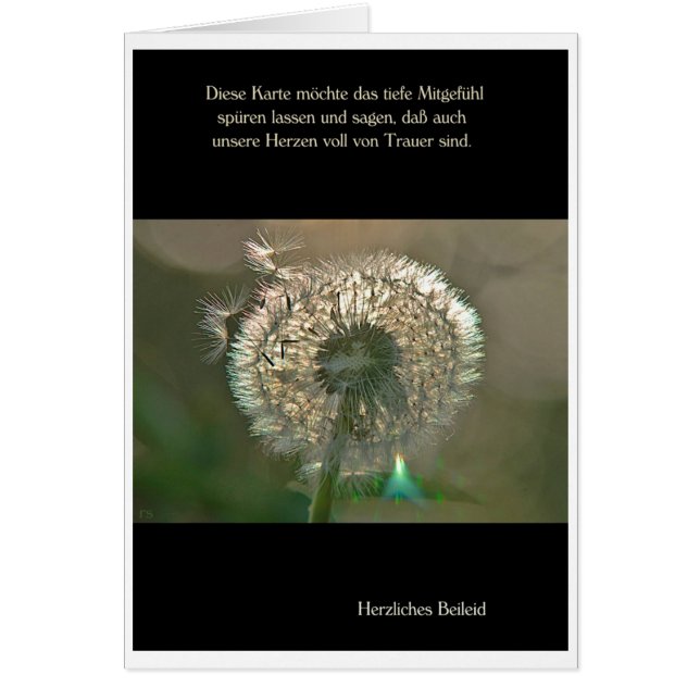 Cartão de luto Pusteblume pêsame Cordial (Frente)