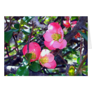 Cartão de Macieira Japonesa na Flor