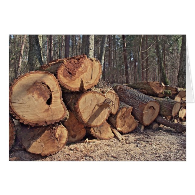 Cartão de Madeira (Frente Horizontal)