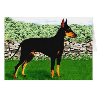 Cartão de Manchester Terrier