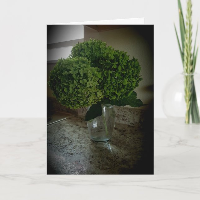 Cartão de Melhoras “Annabelle Hydrangea” (Frente)