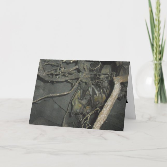 Cartão de Melhoras dos "Morcegos Frutívoros" (Frente)