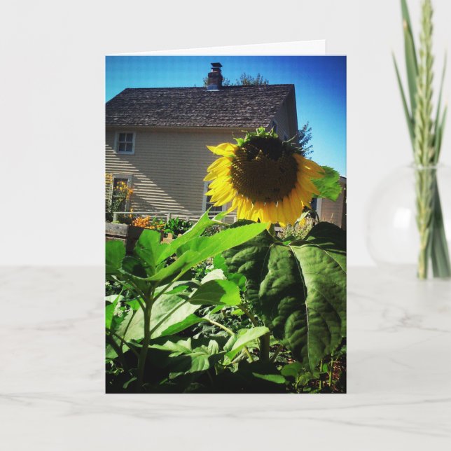 Cartão de Melhoras "Harris House Sunflower" (Frente)