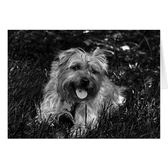 Cartão de Menino Feliz (Frente Horizontal)