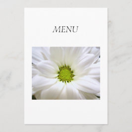 Cartão de menu janto. flor branca pura de margarid
