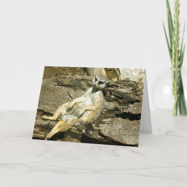 Cartão de Mercat (Frente)