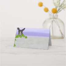 Cartola Santorini e folhas de vinha