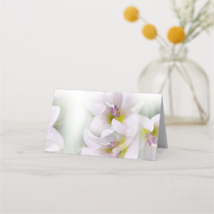 Cartão De Mesa dança das flores