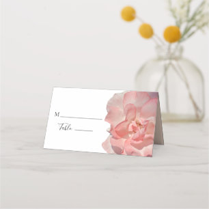 Cartão De Mesa Lugar de Mesa de Noiva Flor de Rosa Rosa Coral Ele