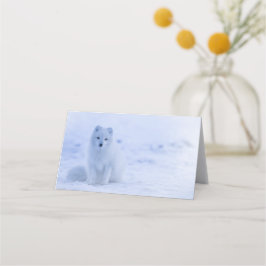 Cartão De Mesa Raposa Árctica Cuta no Fundo de Inverno de Neve