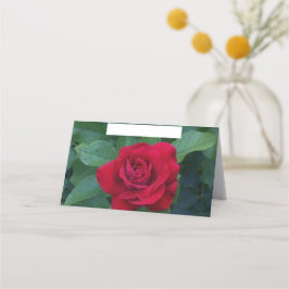 Cartão De Mesa Rosa Vermelha de Perto