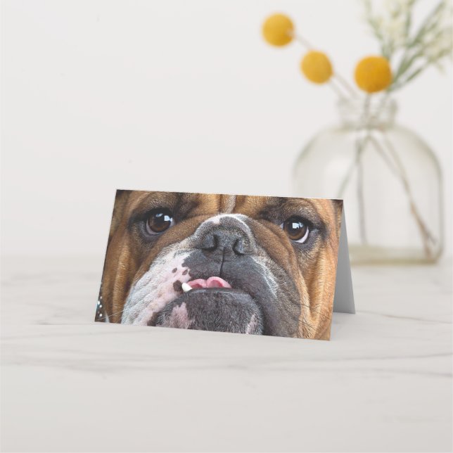 Cartão De Mesa Travesseiro decorativo Inglês Bulldog (Frente)