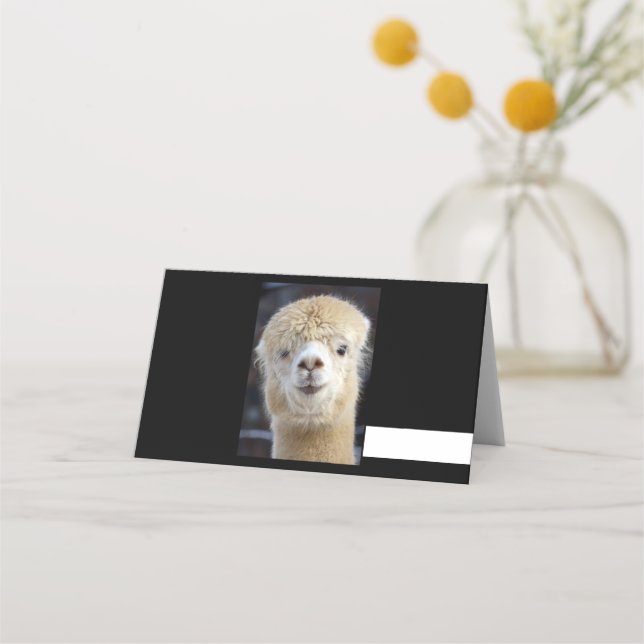 Cartão De Mesa Um rosto fofo de uma alpaca (Frente)