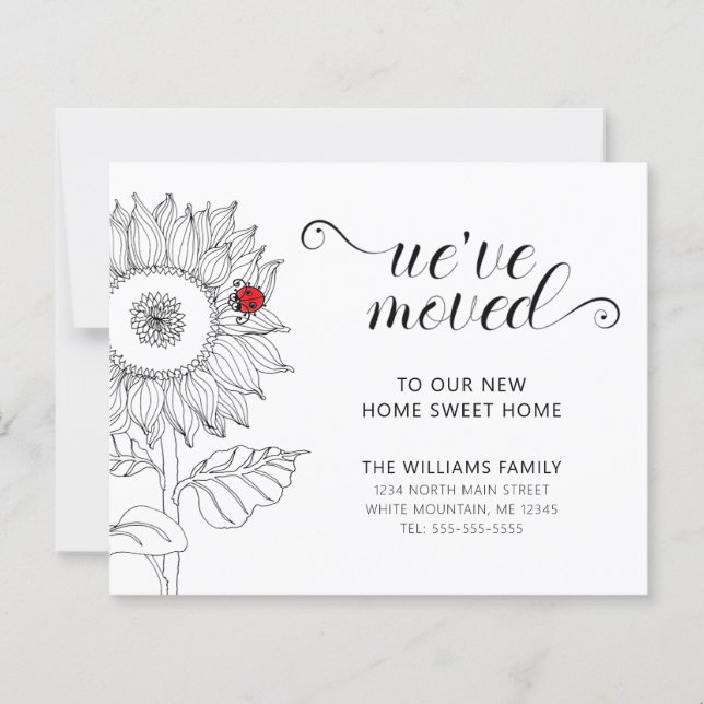 Cartão de Movimentação de Orçamento da Ladybug Ver (Frente)