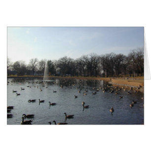 Cartão de Muro Goose