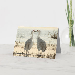 Cartão de Namorados Sandhill Cranes