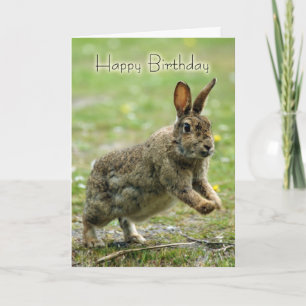 Cartão De Nascimento Com Coelho Selvagem