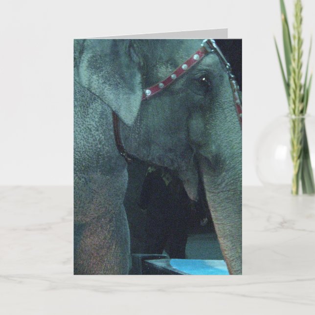 cartão de NASCIMENTO ELEPHANT (Frente)