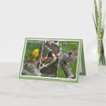 Cartão de Nascimento Personalizado de Aves da Amér<br><div class="desc">Lindas fotografias de um Warbler Amarelo,  Sparrow e Aves Vermelhas Americanas.</div>