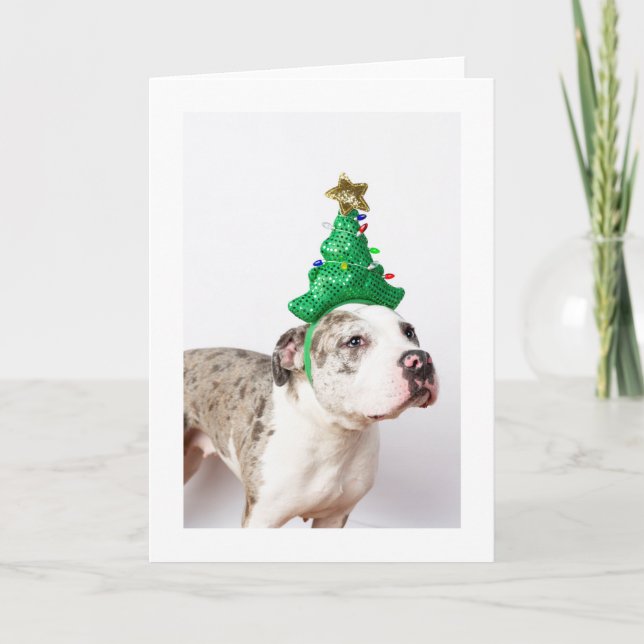 Cartão de Natal (Frente)