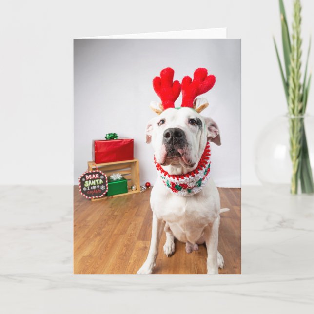 Cartão de Natal (Frente)